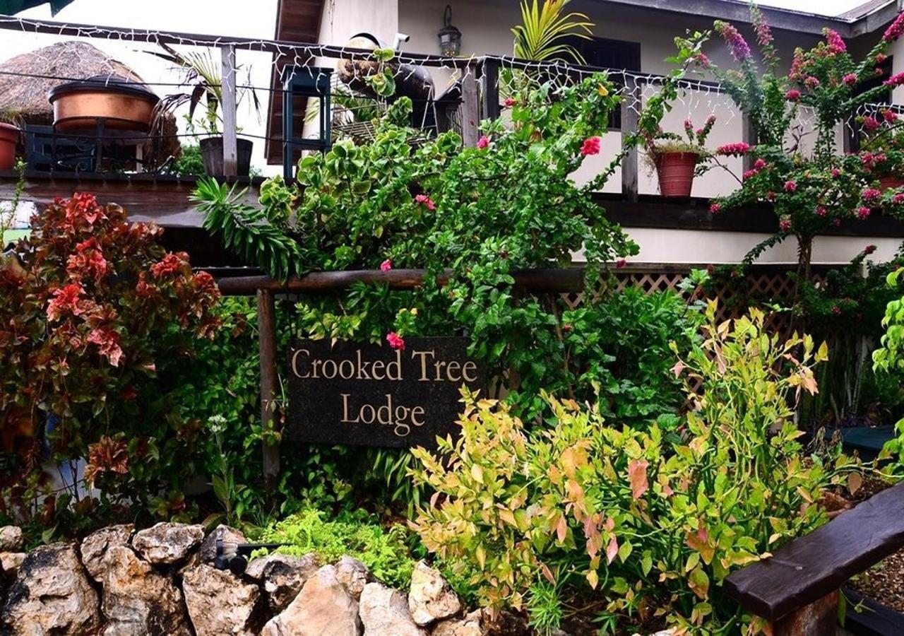 Crooкed Tree Lodge Belize Crooked Tree Bagian luar foto